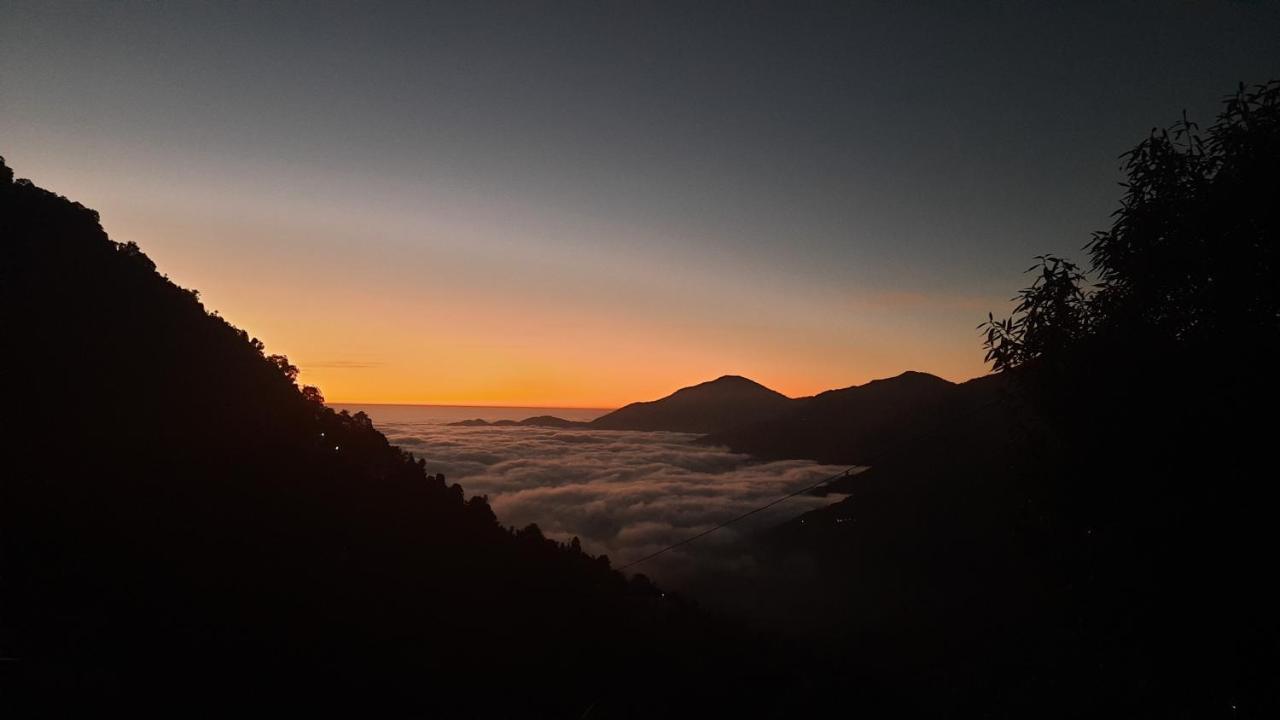 Chiraiyya Pangot * Nainital